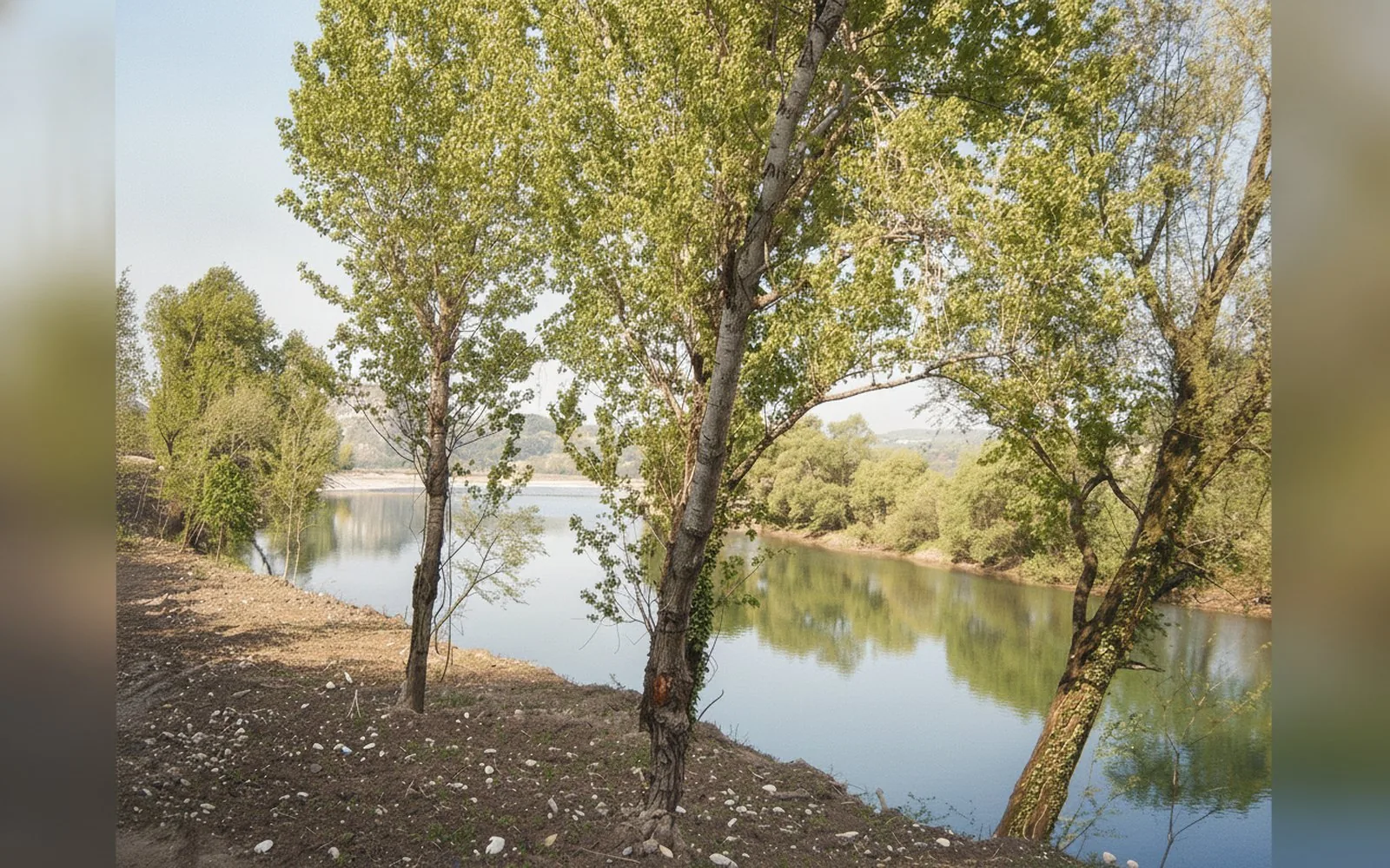 B&B Corte Barbieri, 