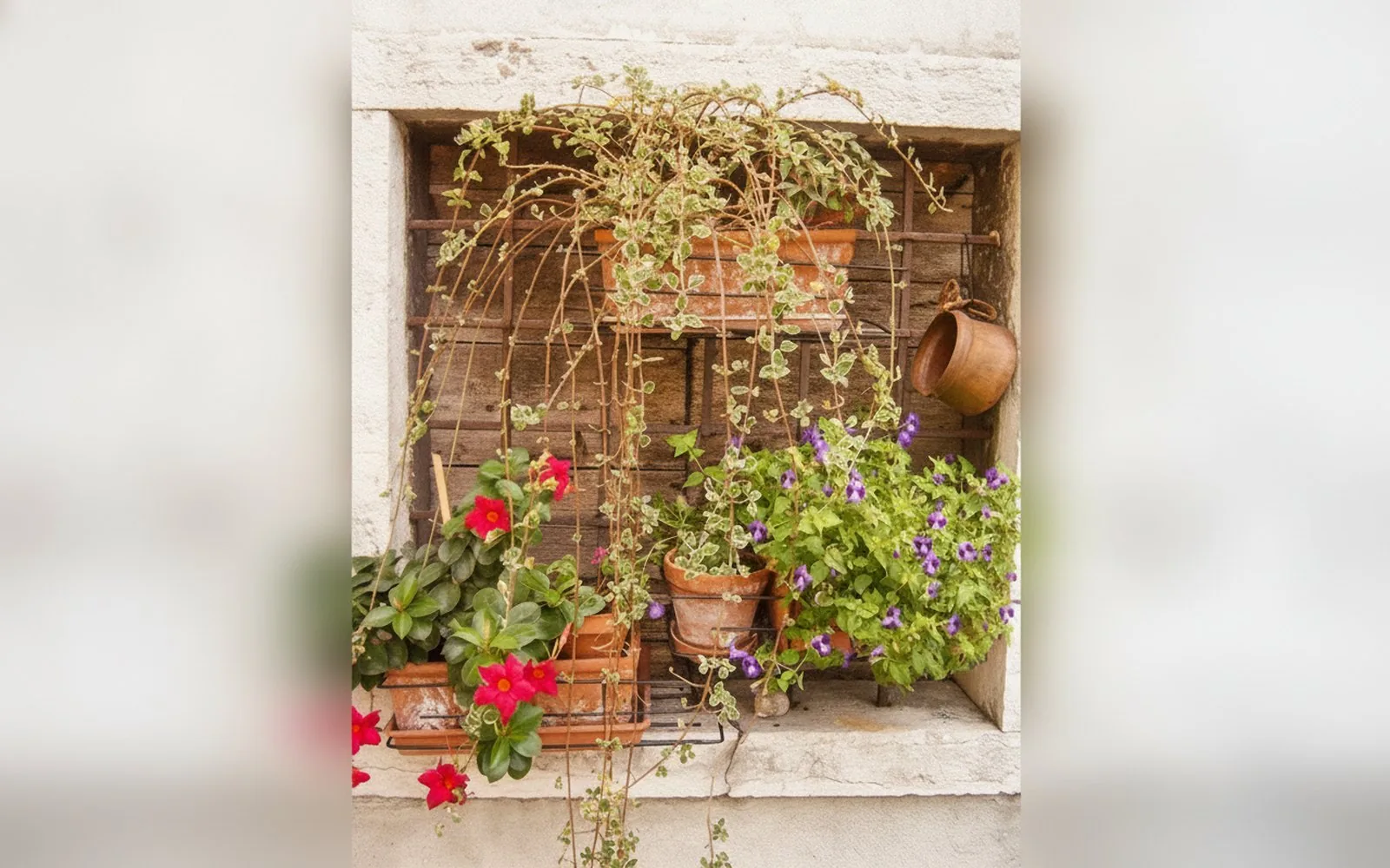 B&B Corte Barbieri, 