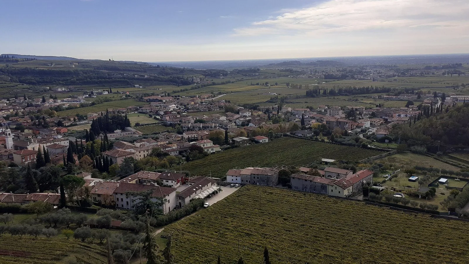 Veduta dall'alto di un borgo della Valpolicella circondato da vigneti e uliveti collinari
